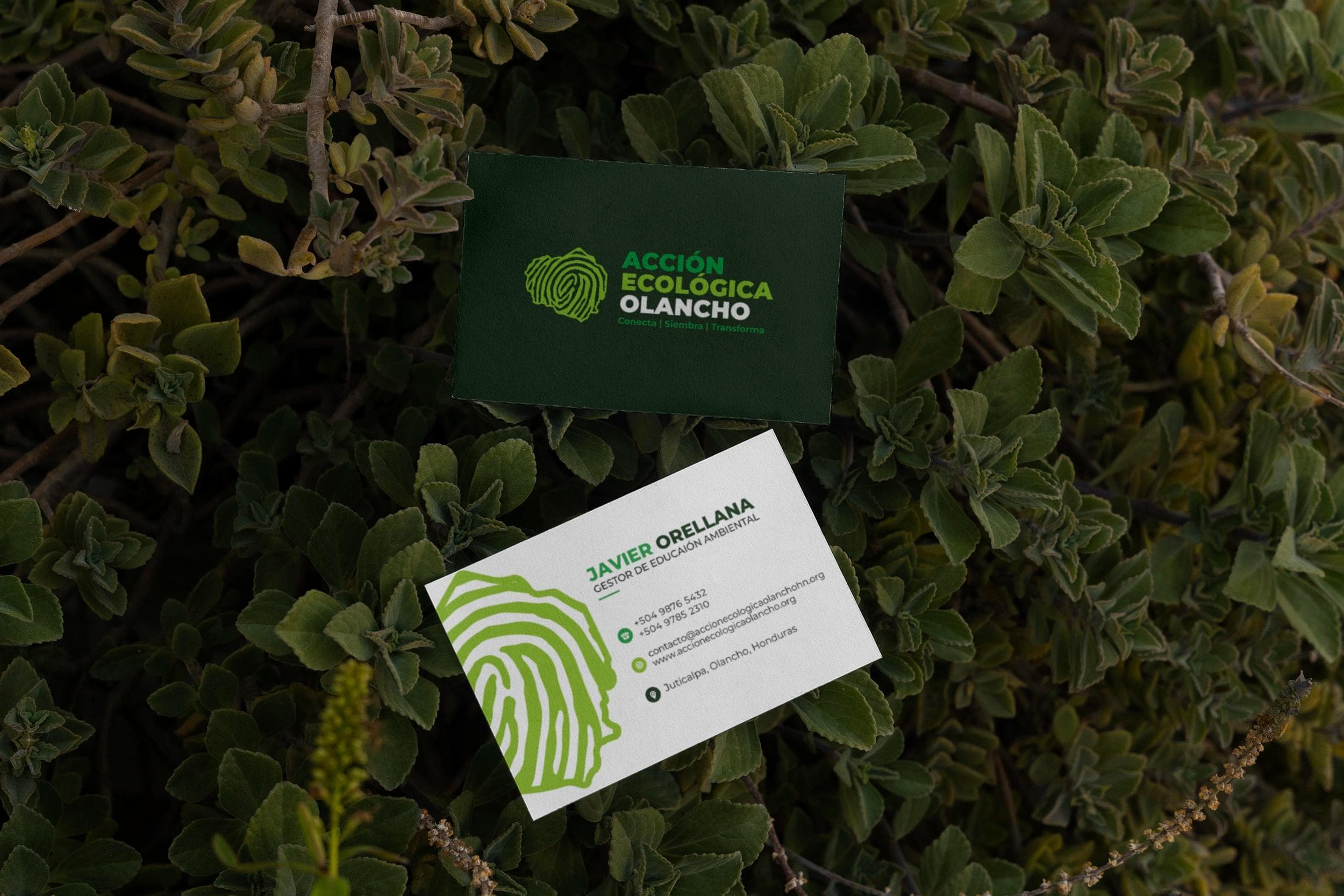 Business_Card_Accion_Ecologica